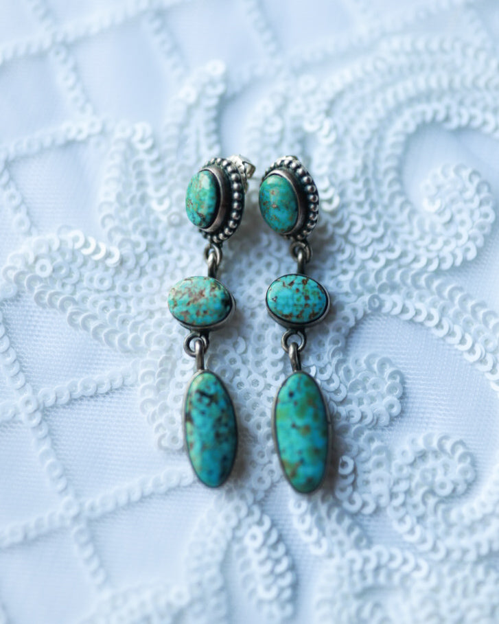 Turquoise Earrings - Smokin' Blues Turquoise