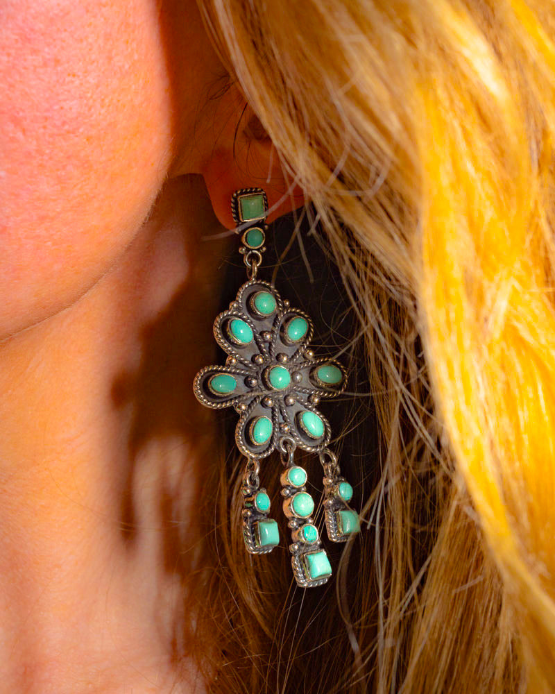 Turquoise Earrings - Smokin' Blues Turquoise